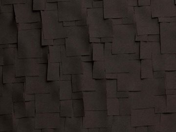 Black old shingle roof